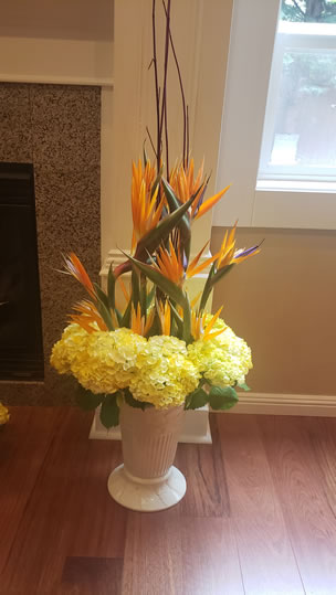 Pentecost Sunday Bird of Paradise Yellow Tinted Hydrangea Japanese Maple Dogwood Red Twig